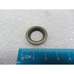 WIPER (SCRAPER) SEAL - 00000024569-BG
