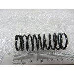 SPRING - 01073335101-BG